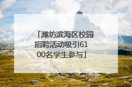 潍坊滨海区校园招聘活动吸引6100名学生参与
