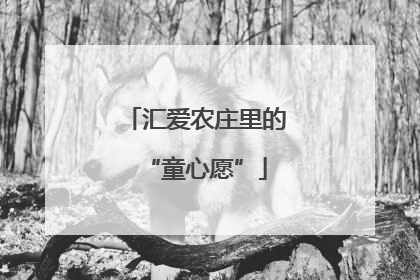 汇爱农庄里的“童心愿”