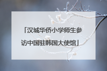汉城华侨小学师生参访中国驻韩国大使馆