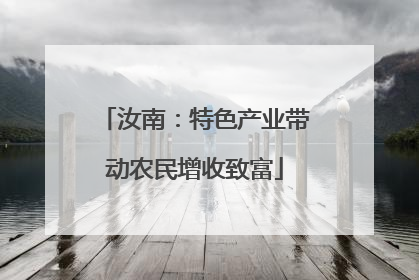 汝南：特色产业带动农民增收致富