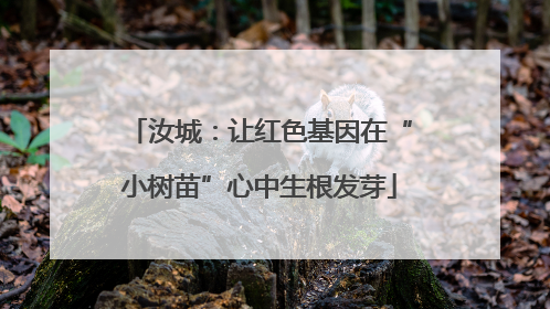 汝城：让红色基因在“小树苗”心中生根发芽