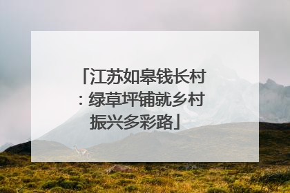 江苏如皋钱长村：绿草坪铺就乡村振兴多彩路