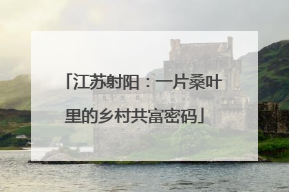 江苏射阳：一片桑叶里的乡村共富密码