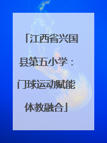 江西省兴国县第五小学：门球运动赋能体教融合