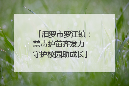 汨罗市罗江镇：禁毒护苗齐发力 守护校园助成长