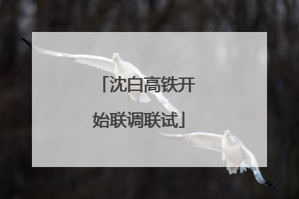 沈白高铁开始联调联试