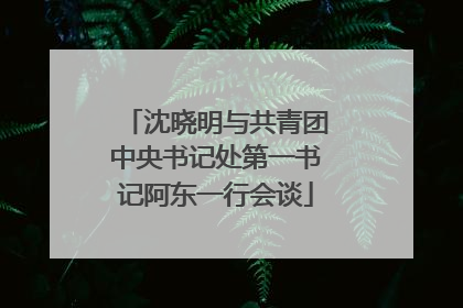 沈晓明与共青团中央书记处第一书记阿东一行会谈