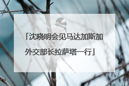 沈晓明会见马达加斯加外交部长拉萨塔一行