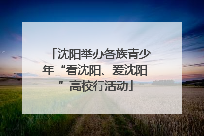 沈阳举办各族青少年“看沈阳、爱沈阳”高校行活动