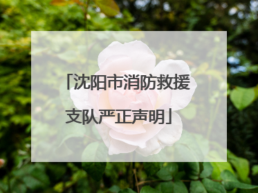 沈阳市消防救援支队严正声明