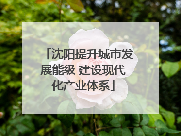 沈阳提升城市发展能级 建设现代化产业体系