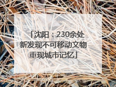 沈阳：230余处新发现不可移动文物重现城市记忆