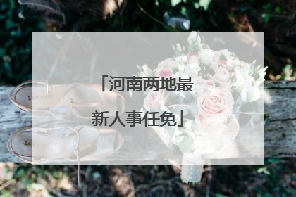 河南两地最新人事任免