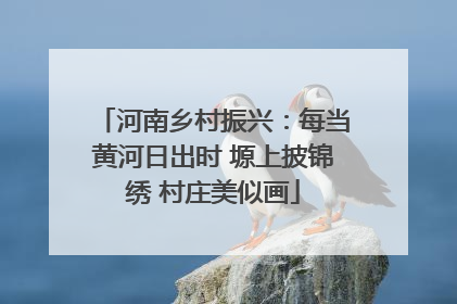 河南乡村振兴：每当黄河日出时 塬上披锦绣 村庄美似画
