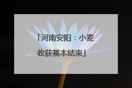 河南安阳：小麦收获基本结束