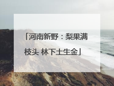 河南新野：梨果满枝头 林下土生金