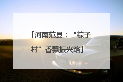河南范县：“粽子村”香飘振兴路