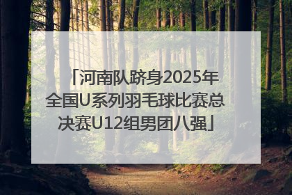河南队跻身2025年全国U系列羽毛球比赛总决赛U12组男团八强