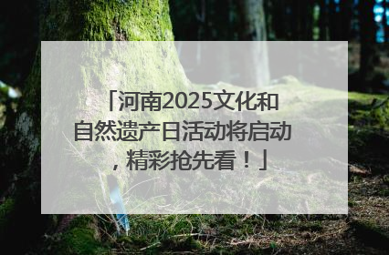 河南2025文化和自然遗产日活动将启动，精彩抢先看！