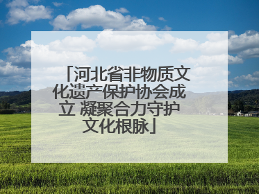 河北省非物质文化遗产保护协会成立 凝聚合力守护文化根脉