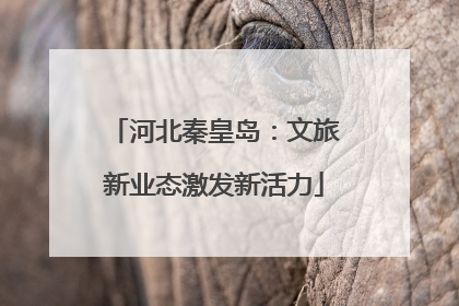 河北秦皇岛：文旅新业态激发新活力