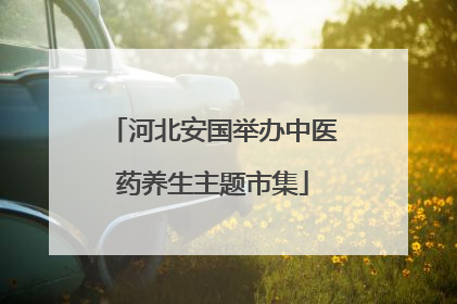 河北安国举办中医药养生主题市集