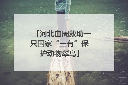 河北曲周救助一只国家“三有”保护动物翠鸟