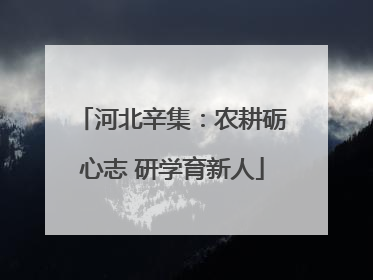 河北辛集：农耕砺心志 研学育新人