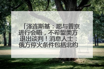 泽连斯基：愿与普京进行会晤，不希望美方退出谈判！消息人士：俄方停火条件包括北约“书面”保证不东扩