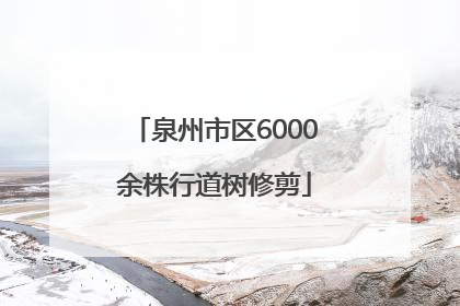 泉州市区6000余株行道树修剪