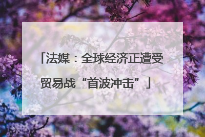 法媒：全球经济正遭受贸易战“首波冲击”
