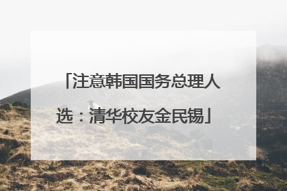 注意韩国国务总理人选：清华校友金民锡