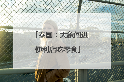 泰国：大象闯进便利店吃零食