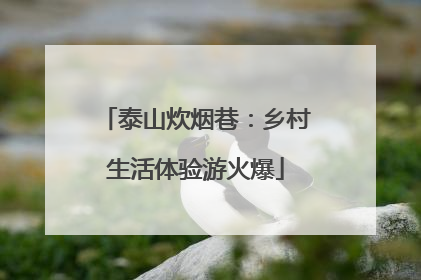 泰山炊烟巷：乡村生活体验游火爆