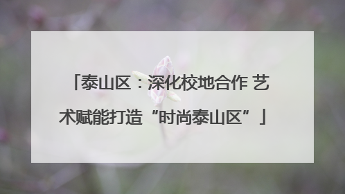 泰山区：深化校地合作 艺术赋能打造“时尚泰山区”