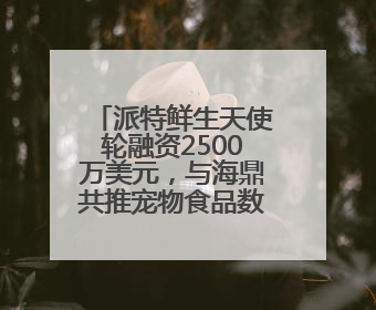 派特鲜生天使轮融资2500万美元，与海鼎共推宠物食品数智化升级