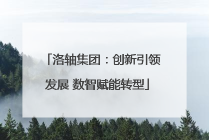 洛轴集团：创新引领发展 数智赋能转型