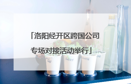 洛阳经开区跨国公司专场对接活动举行