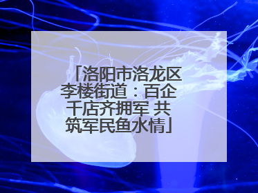 洛阳市洛龙区李楼街道：百企千店齐拥军 共筑军民鱼水情