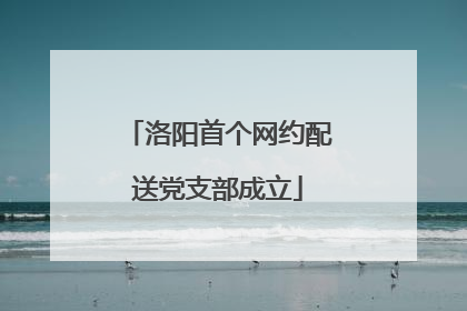 洛阳首个网约配送党支部成立