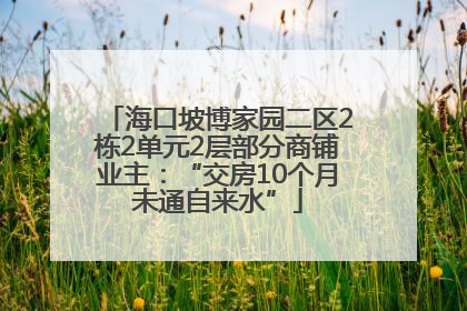 海口坡博家园二区2栋2单元2层部分商铺业主：“交房10个月未通自来水”