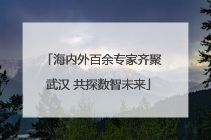 海内外百余专家齐聚武汉 共探数智未来