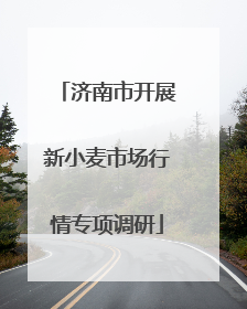 济南市开展新小麦市场行情专项调研