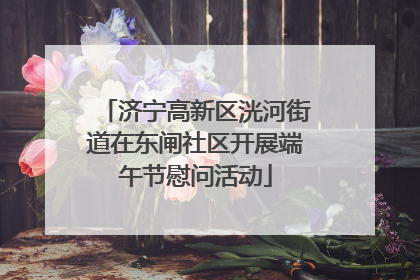 济宁高新区洸河街道在东闸社区开展端午节慰问活动