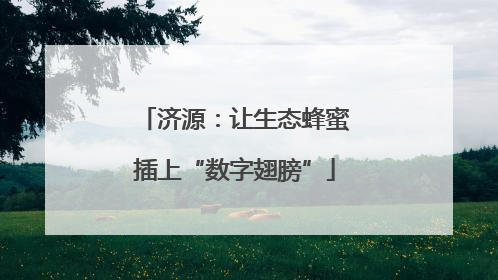 济源：让生态蜂蜜插上“数字翅膀”