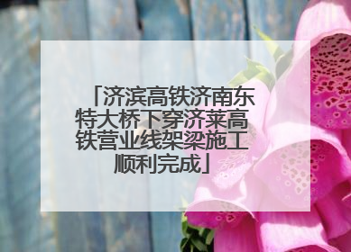 济滨高铁济南东特大桥下穿济莱高铁营业线架梁施工顺利完成