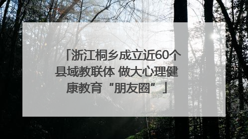 浙江桐乡成立近60个县域教联体 做大心理健康教育“朋友圈”