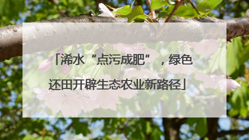 浠水“点污成肥”，绿色还田开辟生态农业新路径