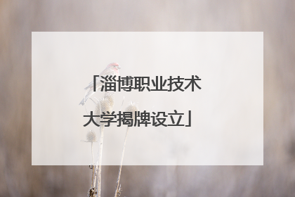 淄博职业技术大学揭牌设立
