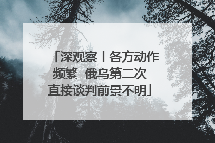深观察丨各方动作频繁  俄乌第二次直接谈判前景不明